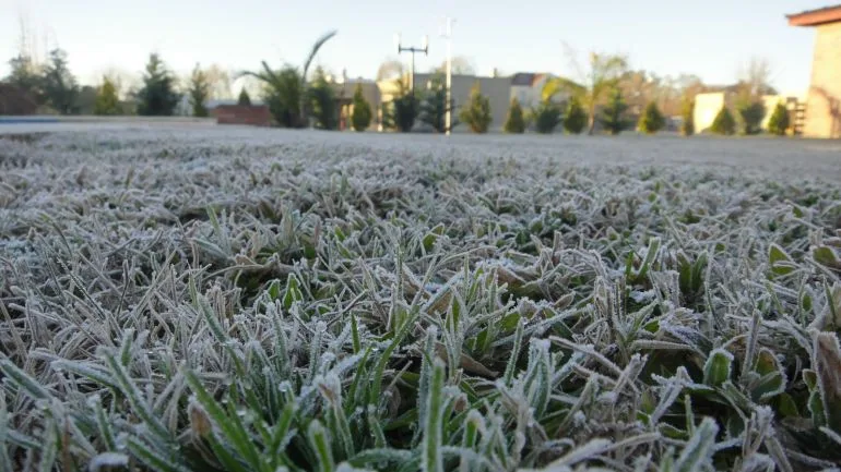 Frios Y Heladas Continuaran En Las Regiones Del Maule Y Ohiggins Temperaturas Llegaran Hasta Los 4c