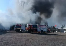 Incendio De Gran Magnitud Destruyo Bodega Agricola En Olivar Y Obligo A Evacuar A 230 Personas
