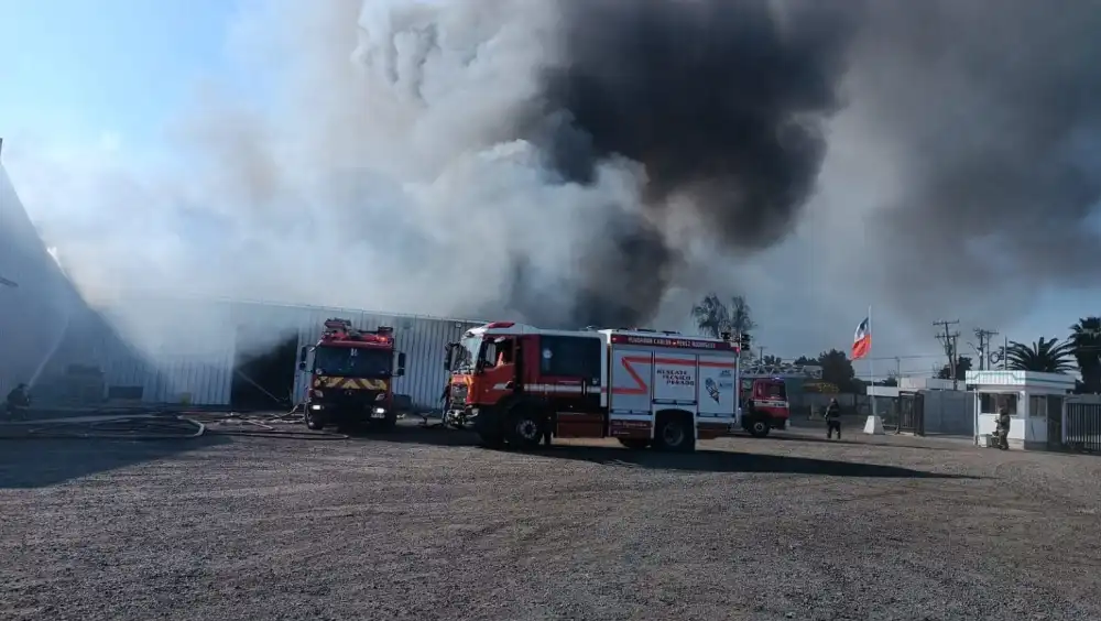 Incendio De Gran Magnitud Destruyo Bodega Agricola En Olivar Y Obligo A Evacuar A 230 Personas