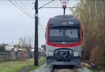 Hombre fallece tras ser atropellado por tren de pasajeros en Curicó Mujer Fallece Tras Ser Atropellada Por Tren De Pasajeros En Curico