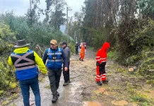 Municipalidad de Molina informa balance de emergencias por sistema frontal: ocho caídas de árboles y cinco sectores afectados Municipalidad De Molina Informa Balance De Emergencias Por Sistema Frontal Ocho Caidas De Arboles Y Cinco Sectores Afectados 1