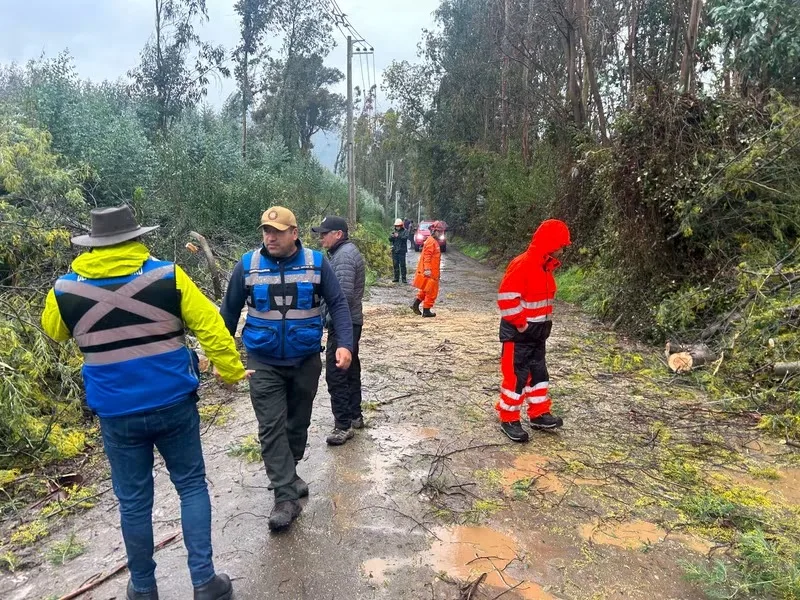 Municipalidad De Molina Informa Balance De Emergencias Por Sistema Frontal Ocho Caidas De Arboles Y Cinco Sectores Afectados 1