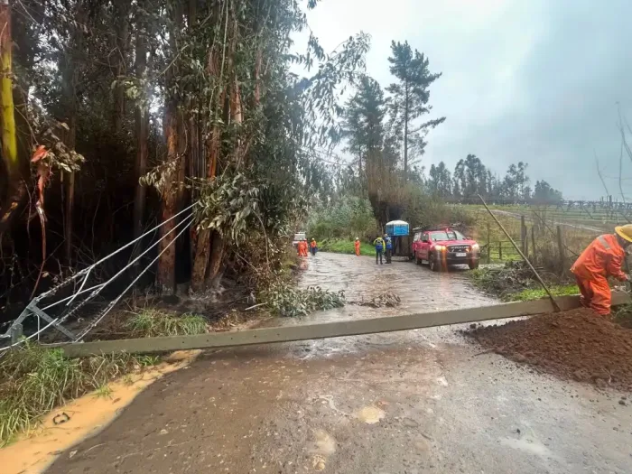 Municipalidad De Molina Informa Balance De Emergencias Por Sistema Frontal Ocho Caidas De Arboles Y Cinco Sectores Afectados