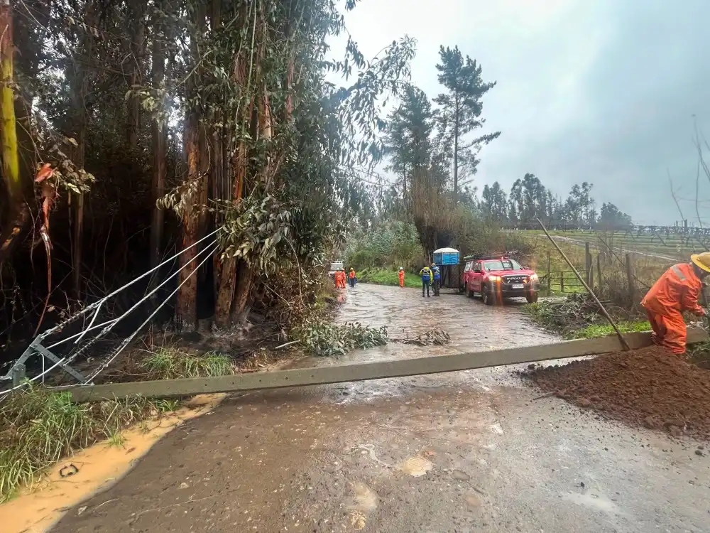 Municipalidad De Molina Informa Balance De Emergencias Por Sistema Frontal Ocho Caidas De Arboles Y Cinco Sectores Afectados