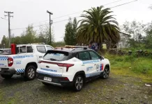 Patrulla Mixta de Molina detiene a presuntos involucrados y recupera especies robadas en Pichingal Patrulla Mixta De Molina Detiene A Presuntos Involucrados Y Recupera Especies Robadas En Pichingal