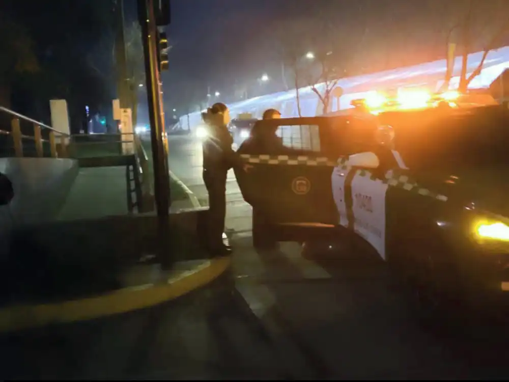 Procedimiento Por Presunto Robo Culmina Con Un Detenido Por Amenazas A Personal De Seguridad Publica De Curico