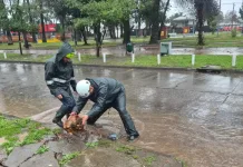 Sistema Frontal Provoca Caida De Arboles Cortes De Energia Y Anegamientos En Curico 1