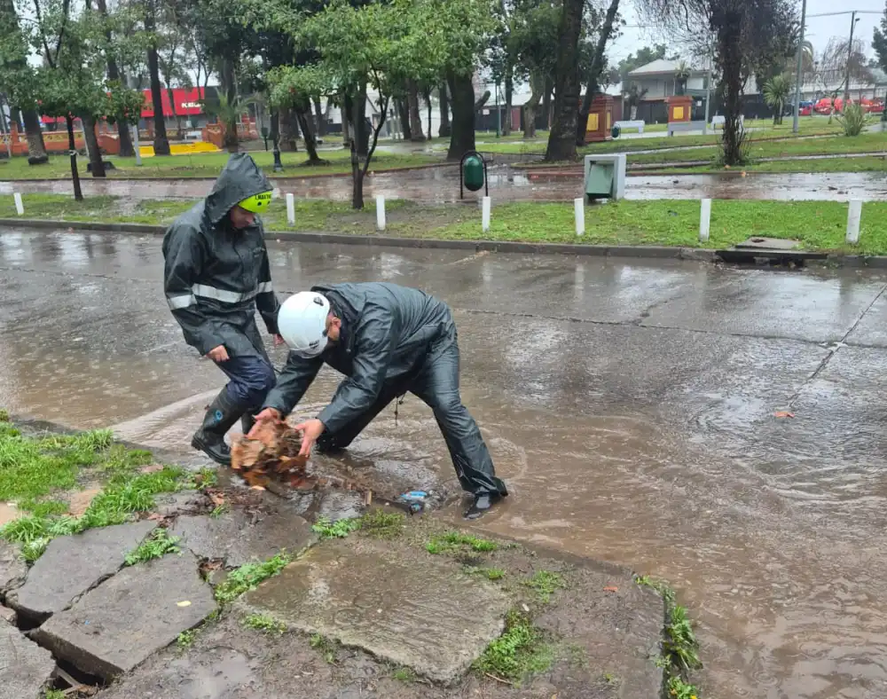 Sistema Frontal Provoca Caida De Arboles Cortes De Energia Y Anegamientos En Curico 1