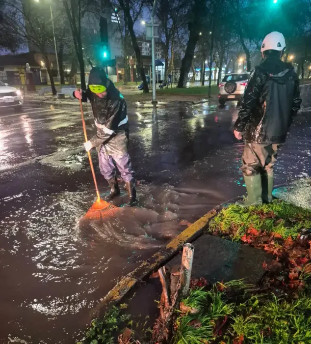 Sistema Frontal Provoca Caida De Arboles Cortes De Energia Y Anegamientos En Curico 3