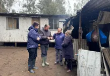 704 Hogares Del Maule Recibiran Bono De Recuperacion Tras Sistema Frontal 1