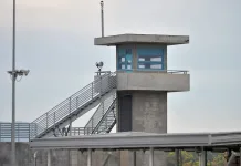 IMG 0993