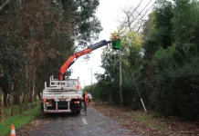 Cge Restablece El Suministro Electrico Tras Sistema Frontal Que Afecto A Mas De 153 Mil Servicios En El Maule
