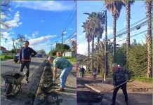 Conductores De La Linea Roja Curico Sarmiento Toman Palas Y Reparan Por Su Cuenta Baches En Avenida Juan Luis Diez De Curico