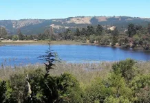 Contraloria Detecta Falencias En Gestion Ambiental Del Lago Vichuquen Laguna Torca Y Estero Llico