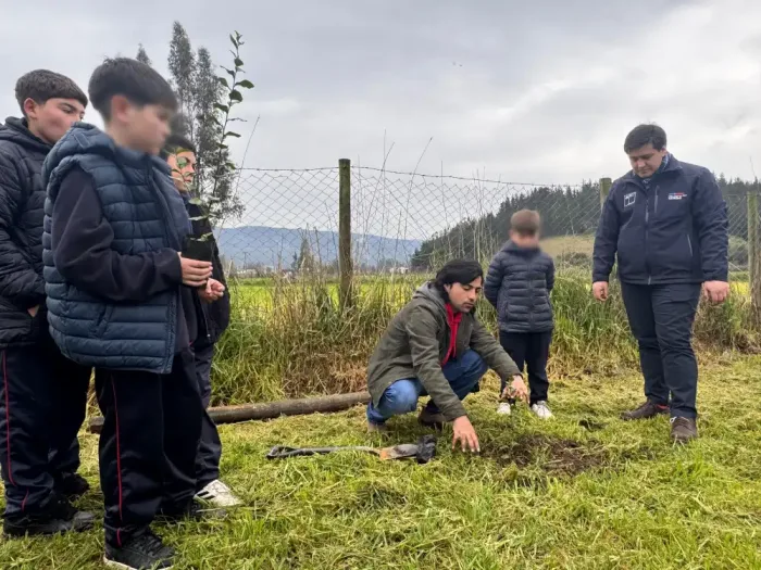 Curepto Impulsa Restauracion Ambiental Con Jornada De Reforestacion De Especies Nativas 1 Curepto Impulsa Restauracion Ambiental Con Jornada De Reforestacion De Especies Nativas 1