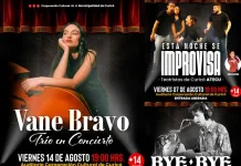 Curico Dara Inicio A Ciclo De Espectaculos Gratuitos Con Teatro Musica Y Jazz Durante Agosto