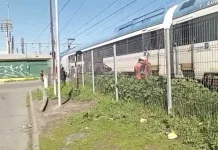 Identifican A Adulto Mayor Fallecido Tras Ser Impactado Por Tren De Pasajeros En Curico