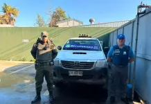 Lectores De Patentes En Molina Permiten Recuperar Vehiculo Robado En El Sur Del Pais
