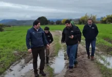 Mas De Mil Pequenos Agricultores Registran Afectaciones Por Sucesivos Sistemas Frontales En El Maule 1