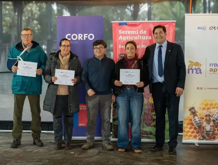 Miel De Licanten Obtiene El Primer Lugar En Cata Popular De Mieles Realizada En Talca 1