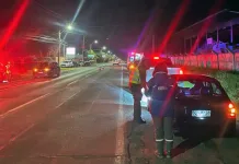 Operativo Preventivo De Carabineros Y Senda En Rauco Deja Cinco Detenidos 1