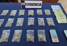 Pdi Detiene A Hombre Investigado Por Venta De Cannabis A Metros De Establecimiento Educacional En Peumo