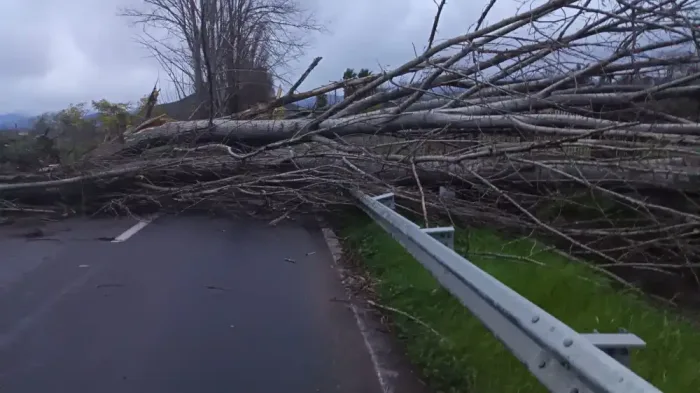 Sistema Frontal Deja Multiples Emergencias Por Fuertes Vientos En La Provincia De Curico 1 Sistema Frontal Deja Multiples Emergencias Por Fuertes Vientos En La Provincia De Curico 1
