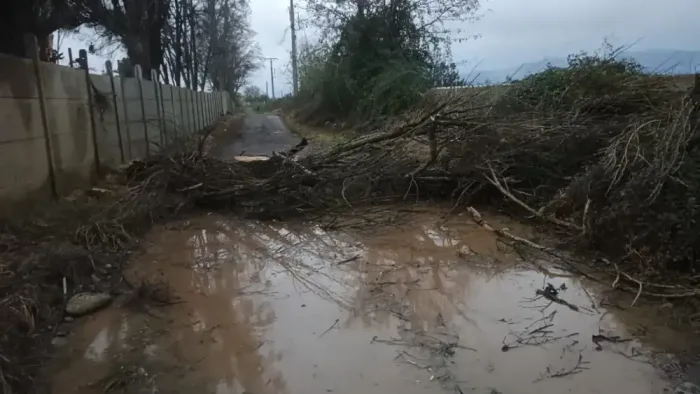 Sistema Frontal Deja Multiples Emergencias Por Fuertes Vientos En La Provincia De Curico 2 Sistema Frontal Deja Multiples Emergencias Por Fuertes Vientos En La Provincia De Curico 2
