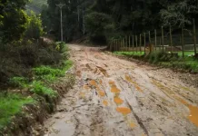 Vichuquen Intensifica Trabajos De Recuperacion Tras El Sistema Frontal Que Afecto Gravemente A La Comuna 1