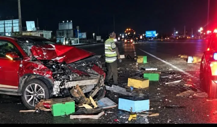 Accidente En La Ruta 5 Moviliza A Equipos De Emergencia Cerca Del Acceso A Los Niches