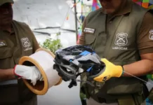 Autoridades Refuerzan Llamado A Evitar El Hilo Curado Tras Accidentes Registrados En El Maule