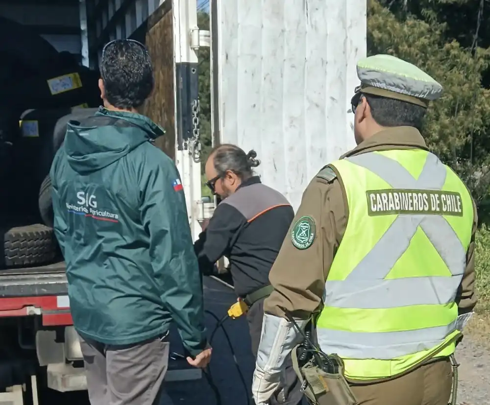 Carabineros Y Sag Intensifican Fiscalizaciones En Rutas De Curico Para Prevenir El Abigeato