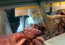 Fiscalización del SAG detecta carne de vacuno vencida en carnicería de Pichilemu Fiscalizacion Del Sag Detecta Carne De Vacuno Vencida En Carniceria De Pichilemu