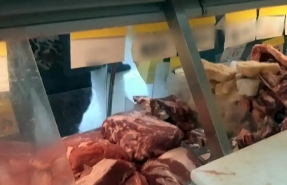 Fiscalizacion Del Sag Detecta Carne De Vacuno Vencida En Carniceria De Pichilemu