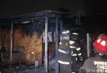 Incendio Destruye Vivienda En Campamento Puerto Principe De Curico Y Deja A Una Familia Damnificada 3