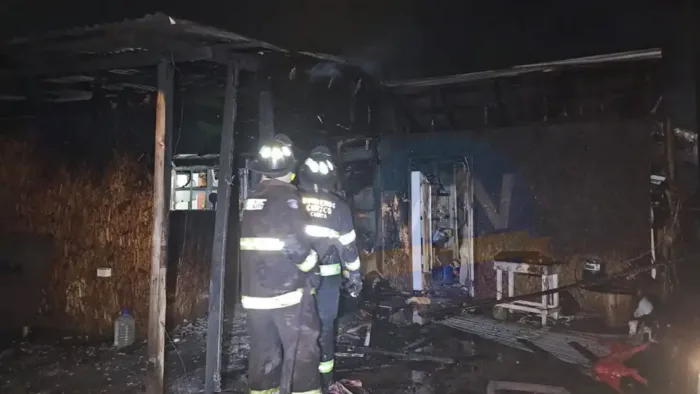 Incendio Destruye Vivienda En Campamento Puerto Principe De Curico Y Deja A Una Familia Damnificada Incendio Destruye Vivienda En Campamento Puerto Principe De Curico Y Deja A Una Familia Damnificada
