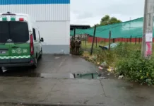 Investigan homicidio de hombre encontrado sin vida en sitio eriazo costado a supermercado Alvi en Curicó Investigan Homicidio De Hombre Encontrado Sin Vida En Sitio Eriazo Junto A Supermercado Alvi En Curico