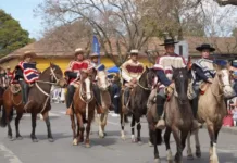 Molina celebra sus Fiestas Patrias con seis desfiles y amplia participación de sus comunidades Molina Celebra Sus Fiestas Patrias Con Seis Desfiles Y Amplia Participacion De Sus Comunidades