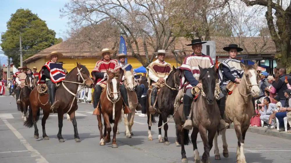 Molina Celebra Sus Fiestas Patrias Con Seis Desfiles Y Amplia Participacion De Sus Comunidades