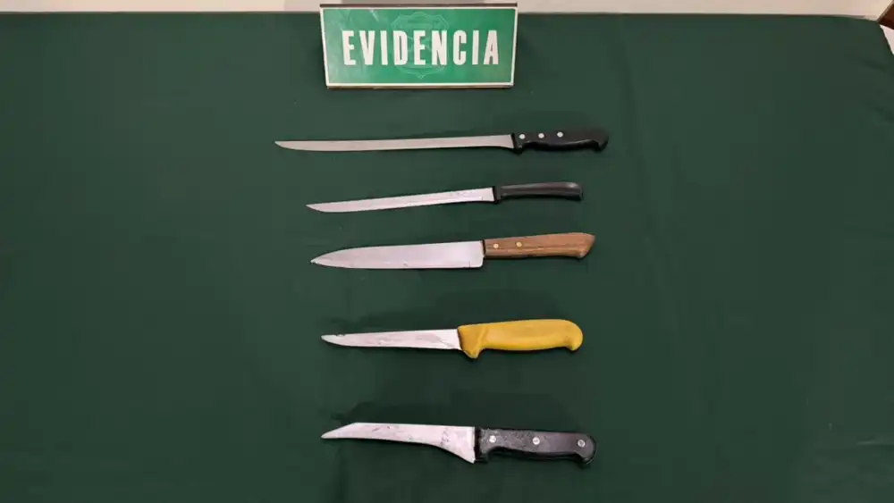 Os 9 Detiene A Dos Sujetos Tras Robo En Vivienda De Rancagua