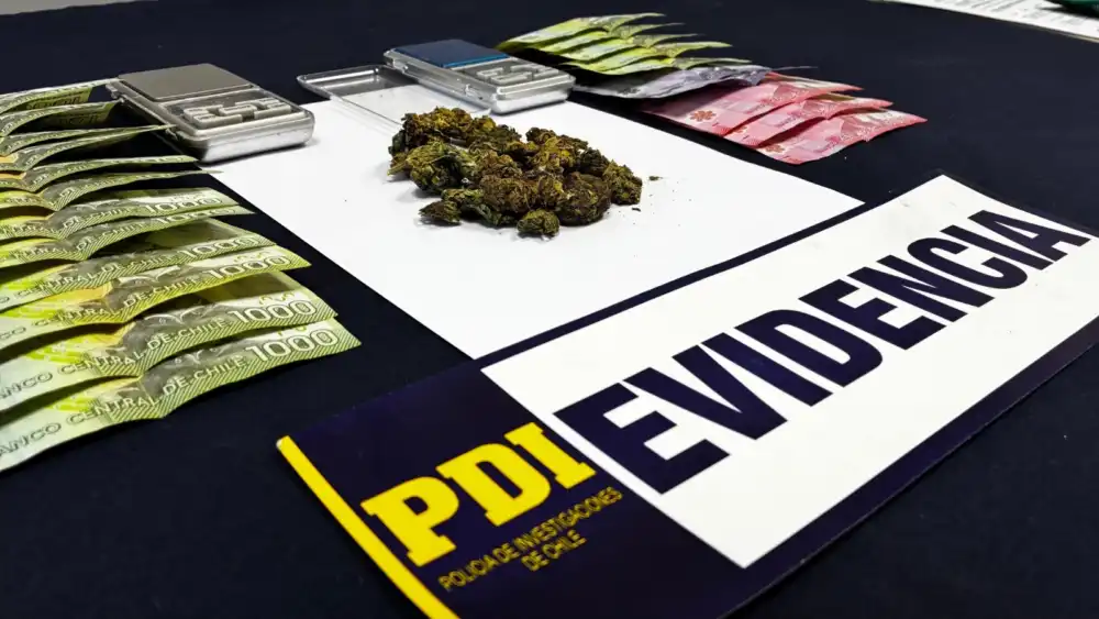 Pdi Detiene A Hombre E Incauta Cannabis Y Plantas En Crecimiento Durante Operativo En Linares