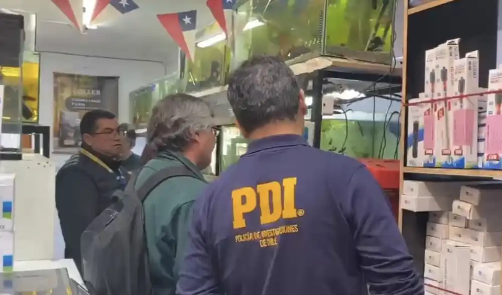 Pdi Fiscaliza Comercio De Especies Acuaticas Reguladas En Curico Y Romeral 1