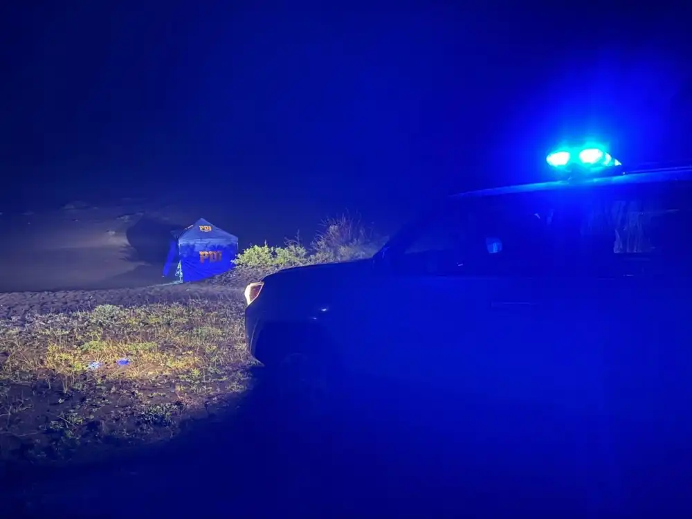 Prision Preventiva Para Imputado Por Homicidio E Inhumacion Ilegal En La Costa Del Maule