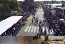 Romeral Inicia Celebraciones De Fiestas Patrias Con Desfile Y Fiesta De La Chilenidad 1