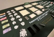 Seis Imputados Quedan En Prision Preventiva Tras Operativo Antidrogas Que Dejo Nueve Detenidos En Curico