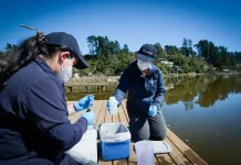 Seremi de Salud inicia monitoreo de cianobacterias en el lago Vichuquén Seremi De Salud Inicia Monitoreo De Cianobacterias En El Lago Vichuquen