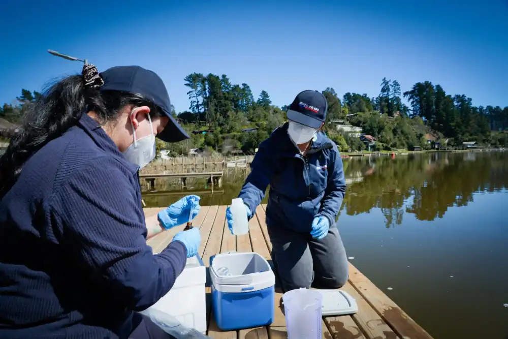 Seremi De Salud Inicia Monitoreo De Cianobacterias En El Lago Vichuquen