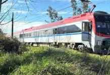 Una persona fallecida tras ser impactado por tren en sector Maquehua de Curicó Una Persona Fallecida Tras Ser Impactado Por Tren En Sector Maquehua De Curico 2