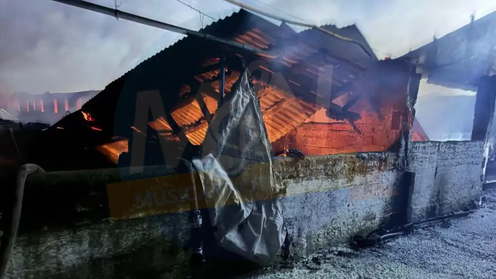 Voraz Incendio Afecto Plantel Porcino En Los Niches 1