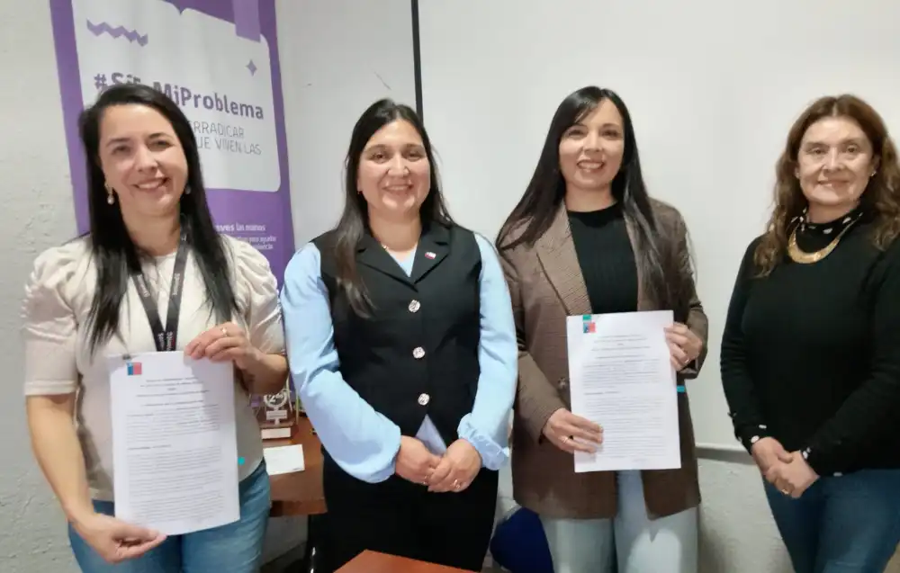 Adjudicarse Fondo Para La Equidad De Genero Junta De Vecinos Guaico 2 De Romeral Destaca En El Maule Tras Adjudicarse Fondo Para La Equidad De Genero